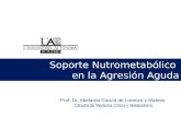 Prof. Dr. Abelardo García de Lorenzo y Mateos Cátedra de Medicina Crítica y Metabolismo Nutrometabólico Soporte Nutrometabólico en la Agresión Aguda.