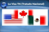 La Visa TN (Tratado Nacional). Visas para Trabajadores Mexicanos Profesionistas bajo el TLCAN – El Tratado de Libre Comercio de América del Norte (TLCAN)