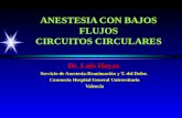 ANESTESIA CON BAJOS FLUJOS CIRCUITOS CIRCULARES Dr. Luis Hoyas Servicio de Anestesia-Reanimación y T. del Dolor. Consorcio Hospital General Universitario.