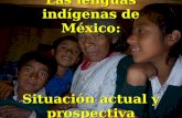 Las lenguas indígenas de México: Situación actual y prospectiva.