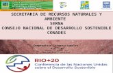 SECRETARIA DE RECURSOS NATURALES Y AMBIENTE SERNA CONSEJO NACIONAL DE DESARROLLO SOSTENIBLE CONADES Compromisos Internacionales RIO +20 Honduras, 11 de.