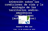 Impactos de la gran inversión sobre las condiciones de vida y la ecología de los territorios andino- amazónicos (reflexiones [auto]críticas) Ernesto F.
