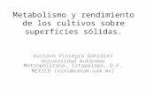 Metabolismo y rendimiento de los cultivos sobre superficies sólidas. Gustavo Viniegra González Universidad Autónoma Metropolitana, Iztapalapa, D.F. MEXICO.