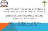 UNIVERSIDAD NACIONAL AUTONOMA DE HONDURAS EN EL VALLE DE SULA ESCUELA UNIVERSITARIA DE LAS CIENCIAS DE LA SALUD DEPARTAMENTO DE CIENCIAS BASICAS DE LA.
