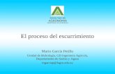 El proceso del escurrimiento Mario García Petillo Unidad de Hidrología, GD Ingeniería Agrícola, Departamento de Suelos y Aguas mgarciap@fagro.edu.uy FACULTAD.