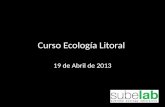 Curso Ecología Litoral 19 de Abril de 2013. Autecología Rama de ecología Relaciones biológicas entre los organismos individuales o individuos de una especie.