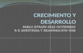 PABLO EFRAÍN DÍAZ GUTIERREZ R II ANESTESIA Y REANIMACIÓN HSB.