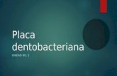 Placa dentobacteriana UNIDAD NO. 3. Placa… Placa Dental Bacteriana o Dentobacteriana. Biofilm oral. La matriz intracelular + las bacterias + las células.
