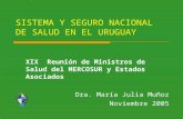 SISTEMA Y SEGURO NACIONAL DE SALUD EN EL URUGUAY XIX Reunión de Ministros de Salud del MERCOSUR y Estados Asociados Dra. María Julia Muñoz Noviembre 2005.