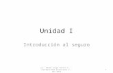 Unidad I Introducción al seguro 1 Lic. Amado Jorge Adorno F. - Contabilidad Financiera V - Año 2013.