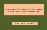 TESTIMONIOS ARQUEOLÓGICOS QUE EVIDENCIA DATA MILENARIA DEL PUEBLO MAPUCHE JOEL CAYUL CALFULIPI.