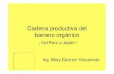 Cadena Productiva Banano a Japon