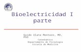 Guido Ulate Montero, MD, PhD Catedrático Departamento de Fisiología Escuela de Medicina Bioelectricidad I parte.