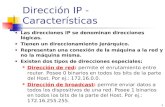 1 Dirección IP - Características Las direcciones IP se denominan direcciones lógicas. Tienen un direccionamiento Jerárquico. Representan una conexión de.