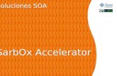 Soluciones SOA SarbOx Accelerator Soluciones SOA SarbOx Accelerator.