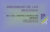 INMUNIDAD DE LAS MUCOSAS M.V. Dra. ANDREA MUÑOZ DE MERIDA CURSO INMUNOLOGIA 09 DE MARZO DE 2009.