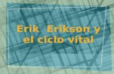 Erik Erikson y el ciclo vital. Tres contribuciones principales Afirmó que junto con las etapas psicosexuales de Freud, el individuo atraviesa simultáneamente.