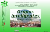 Pedro Prieto Martín Teorías y técnicas para un sabio trabajo en equipo 2008.11.03. Grupos inteligentes Fundamentalmente basado en el texto: Grupos inteligentes.