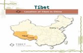 Tíbet. superficie de más de 1,22 millones de km² superficie de más de 1,22 millones de km² el octavo del total del territorio chino el octavo del total.