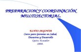 PREPARACION Y COORDINACIÓN MULTISECTORIAL. ELVIO SEGOVIA Curso para Gerentes en Salud, Desastres y Desarrollo Quito, Ecuador 2000.