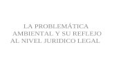 LA PROBLEMÁTICA AMBIENTAL Y SU REFLEJO AL NIVEL JURIDICO LEGAL.