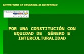 MINISTERIO DE DESARROLLO SOSTENIBLE POR UNA CONSTITUCIÓN CON EQUIDAD DE GÉNERO E INTERCULTURALIDAD.