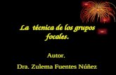 La técnica de los grupos focales. Autor. Dra. Zulema Fuentes Núñez.