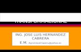 LIDERAZGO TRANSFORMACIONAL ING. JOSE LUIS HERNANDEZ CABRERA E.M. Agroindustriaperu@yahoo.es.