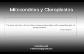 Mitocondrias y Cloroplastos Víctor Bravo N. F.Meischer@gmail.com La emergencia de la vida se remonta a algo más pequeño que la propia célula Víctor Bravo.