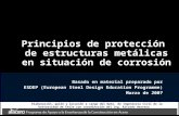 Principios de protección de estructuras metálicas en situación de corrosión Basado en material preparado por ESDEP (European Steel Design Education Programme)