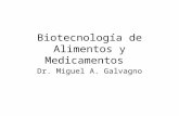 Biotecnología de Alimentos y Medicamentos Dr. Miguel A. Galvagno.