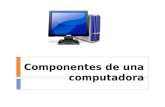 Componentes de una computadora. Introducción Las partes principales de una computadora son las siguientes: Procesador Memoria Disco duro CD y DVD ROM.