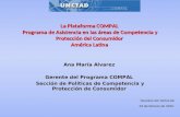 Ana María Alvarez Gerente del Programa COMPAL Sección de Políticas de Competencia y Protección de Consumidor La Plataforma COMPAL Programa de Asistencia.