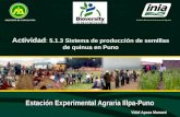 Estación Experimental Agraria Illpa-Puno MINISTERIO DE AGRICULTURA Instituto Nacional de Innovación Agraria Vidal Apaza Mamani Actividad : 5.1.3 Sistema.