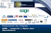 Presentación del Programa : AEMME, Formación y Empleo para Emprendedores  Madrid, 20 de Octubre de 2010.
