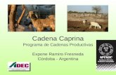 Cadena Caprina Programa de Cadenas Productivas Expone Ramiro Fresneda Córdoba - Argentina.