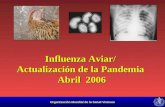 Organización Mundial de la Salud Vietnam Influenza Aviar/ Actualización de la Pandemia Abril 2006.