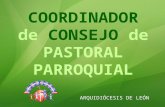 COORDINADOR de CONSEJO de PASTORAL PARROQUIAL ARQUIDIÓCESIS DE LEÓN.