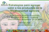 Estrategias para agregar valor a los productos de la biodiversidad agrícola Foro Granos Andinos Puno/Perú Proyecto IFAD NUS - COSUDE Chucuito,Perú Noviembre.