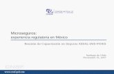 Microseguros: experiencia regulatoria en México Reunión de Capacitación en Seguros ASSAL-IAIS-FIDES Santiago de Chile Noviembre 16, 2007.