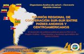 El desarrollo de políticas públicas para la PEA en la Región Andina – Experiencias y lecciones aprendidas del ORAS CONHU Organismo Subregional IntergubernamentalOrganismo.