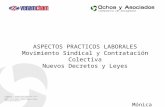 ASPECTOS PRACTICOS LABORALES Movimiento Sindical y Contratación Colectiva Nuevos Decretos y Leyes Mónica Ortín Viloria.