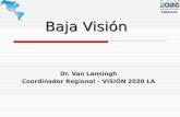 Baja Visión Dr. Van Lansingh Coordinador Regional – VISIÓN 2020 LA.