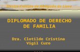 Ilustre Colegio de Abogado de Lima DIPLOMADO DE DERECHO DE FAMILIA Dra. Clotilde Cristina Vigil Curo 2013.