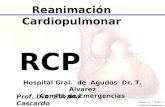 Reanimación Cardiopulmonar Prof. Dra. Silvana Cascardo Septiembre 2008 RCP Hospital Gral. de Agudos Dr. T. Álvarez Comité de Emergencias Hospital Dr. T.