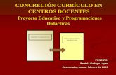 CONCRECIÓN CURRÍCULO EN CENTROS DOCENTES Proyecto Educativo y Programaciones Didácticas PONENTE: Beatriz Gallego López Castronuño, enero- febrero de 2009.