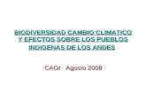 BIODIVERSIDAD CAMBIO CLIMATICO Y EFECTOS SOBRE LOS PUEBLOS INDIGENAS DE LOS ANDES CAOI Agosto 2008 CAOI Agosto 2008.