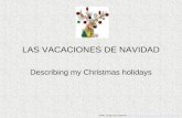 LAS VACACIONES DE NAVIDAD Describing my Christmas holidays ©MFL Sunderland 2008 MC //.