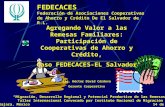 FEDECACES Federación de Asociaciones Cooperativas de Ahorro y Crédito De El Salvador de R.L. Migración, Desarrollo Regional y Potencial Productivo de las.