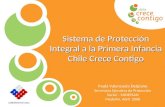 Protección Integral a la Infancia Sistema de Protección Integral a la Primera Infancia Chile Crece Contigo Paula Valenzuela Delpiano Secretaría Ejecutiva.